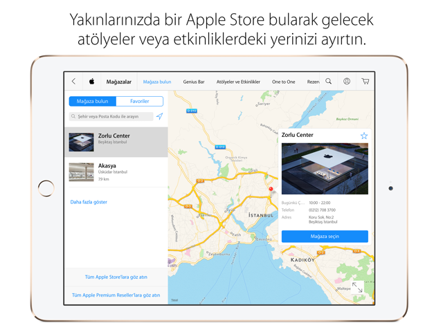 Карта Apple Store. Карта оплаты эпл стор. Американские карты для эпл стор. Физическая карта эпл стор. Карты апл сторе