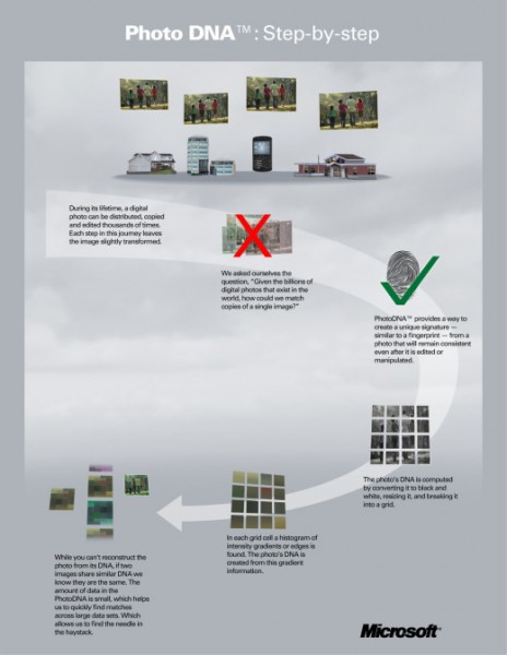 flowchart_photodna_Print-520x673