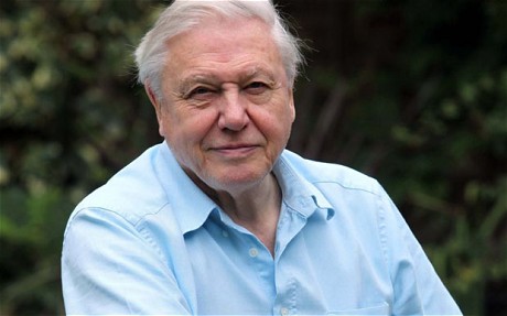 Sir David Attenborough at home, Britain - Aug 2009...Mandatory Credit: Photo by Rex Features ( 1037280e )  David Attenborough  Sir David Attenborough at home, Britain - Aug 2009