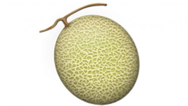 melon