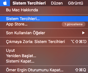 01-sistem-tercihleri