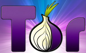 Tor Network Türkiye Erişimi Engellendi