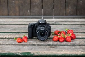 Teknolojik Babalara Dünyanın En Hafif D-SLR Makinesi: Canon EOS 200D