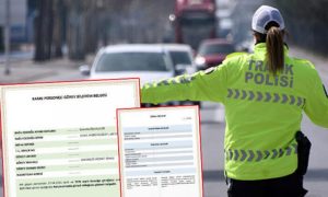 e-devlet’ten görev belgesi almak işkenceye dönüştü!
