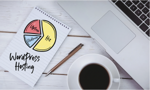 WordPress Hosting Nedir? Web Hosting Nedir?