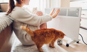 Havalar Soğudu! Peki Elektrikli ısıtıcı nasıl seçilir?