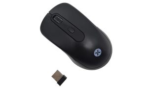 Ucuz Yollu Dexim MW-036 Kablosuz Mouse Alınır mı?