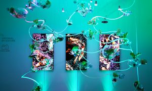 LG OLED TV Sürdürebilirlik Prensipleriyle Üretiliyor