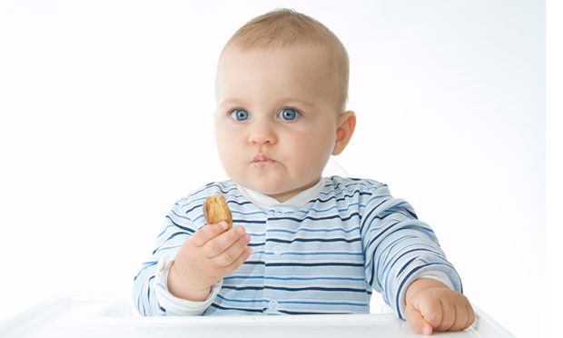 cute baby boy eating biscuits, on white