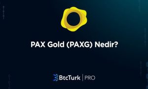 Altın destekli PAX Gold (PAXG), BtcTurk PRO’da listelendi