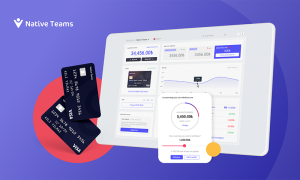 Native Teams 2 Milyon Euro Tohum Yatırımı Aldı