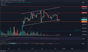 Kripto Para Dünyasında Merak Edilen 7 Soruya 7 Cevap!