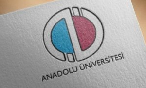 AÖF Yaz Okulu Sınav Soruları ve Cevapları 2023 Nasıl Görüntülenir?