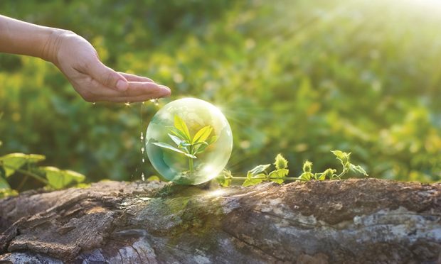 hand watering and protecting globe of young tree resting on a timber, environment concept