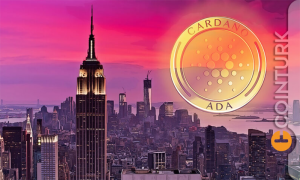 BTC Düşerken Bazı Altcoin’ler Yükseliyor