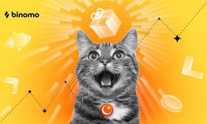 Binomo, “CosmoCat: Istanbul Expedition” projesiyle sokak hayvanlarına güvenli bir yaşam alanı oluşturuyor