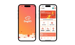 DogGO, Startup Burada üzerinden 2. yatırım turunda 10 milyon liralık yatırım aldı