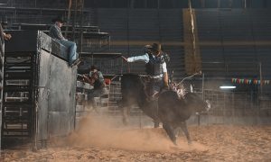 BitHero, Kriptonun yeni kahramanı rodeo arenasında!