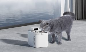 Kablosuz akıllı su pınarı Petkit Eversweet Max, 83 gün kablosuz çalışıyor