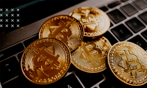Balinalar Bitcoin toplamaya devam ediyor!