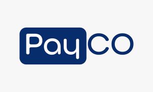 PayCO Kart, BKM ve TROY Güvencesiyle Tüketicilere Ulaşacak