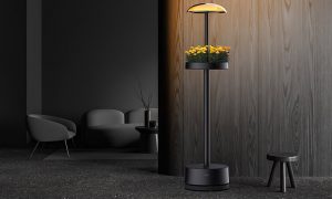LG’nin iç mekan bahçecilik cihazının yeni tasarımları CES 2025’te sergilenecek!