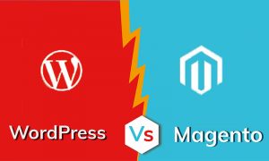 WordPress ve Magento – bu iki popüler platformun farkları nelerdir?