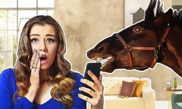 İnat Box Dolandırıcılığı: 14 Milyon TL’lik Vurgun ve 27 Tutuklama