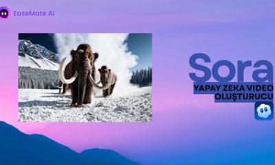 Ücretsiz Sora 2 Yapay Zeka Video Oluşturucu | Fikirlerinizi Gerçekçi Videolara Dönüştürün