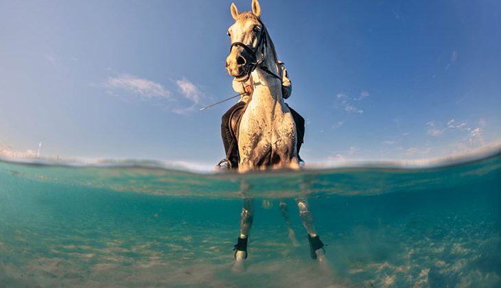 Sony Dünya Fotoğrafçılık Ödülleri – ÖĞRENCİ YARIŞMASI KISA LİSTESİ